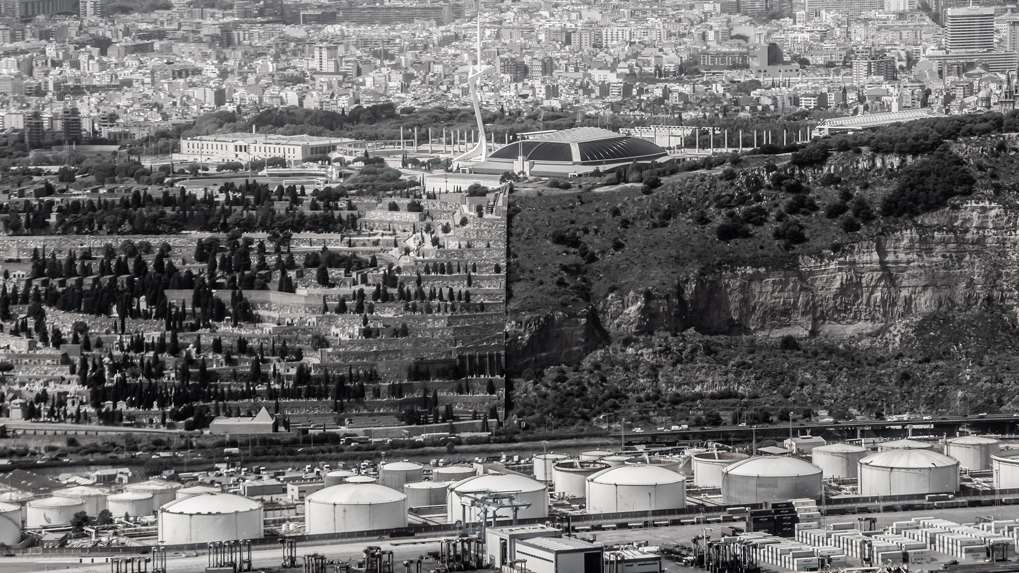 Barcelona life cycle